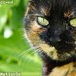 Theodora Ritchie Profile Picture