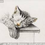 Alexandrine Leuschke Profile Picture