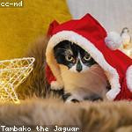 Ralph Jakubowski Profile Picture