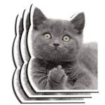 Jahid Khan Profile Picture