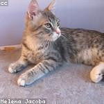 Abigail Wiza Profile Picture